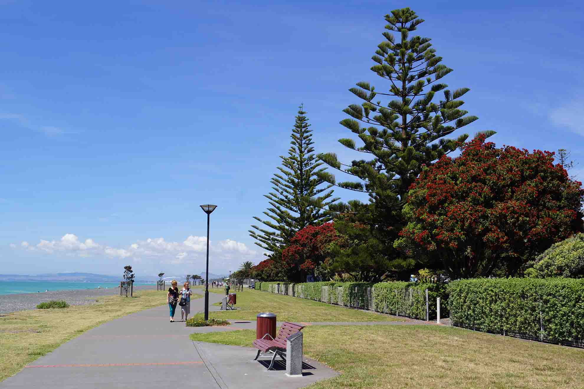 Walk along Marine Parade