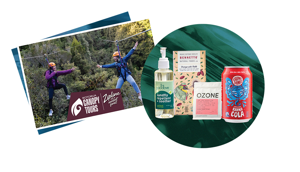 B Corp Month Polaroids