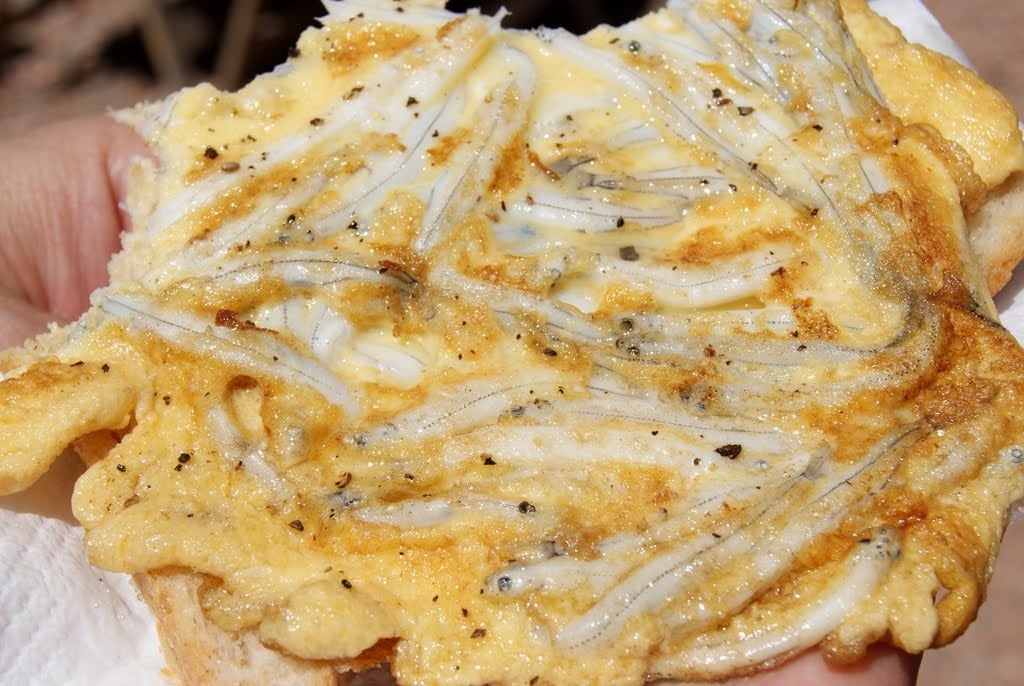 Bait fritter