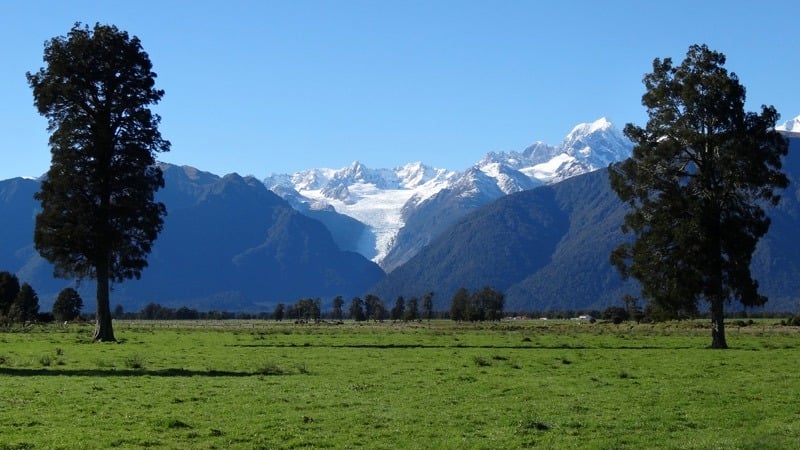 Fox Glacier in New Zealand South Island