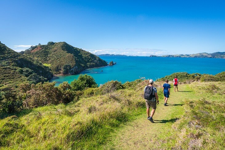 Hiking Mahinepua Penninsula