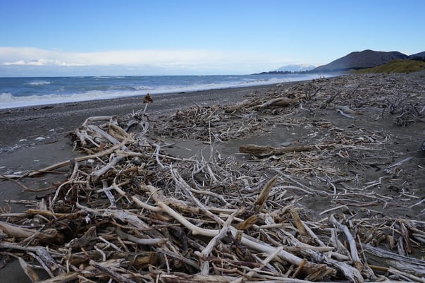 Marlborough beach looking south to Kaikoura