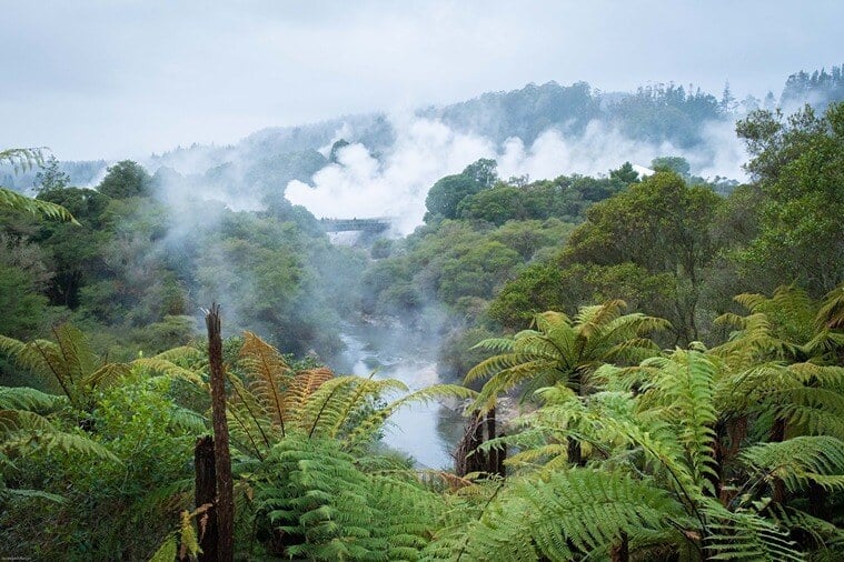 Rotorua 1