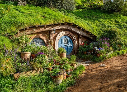 Flowers at Hobbiton