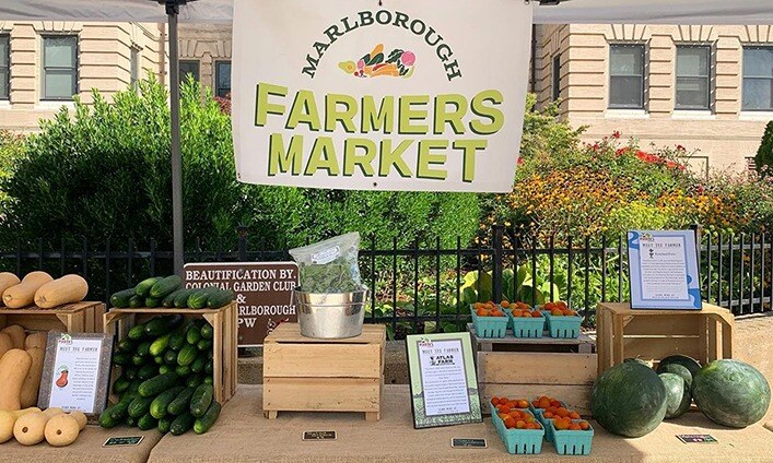 Marlborough Farmers Market