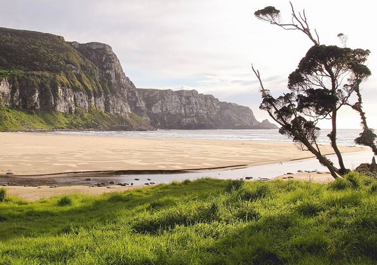 Purakaunui Bay Campsite