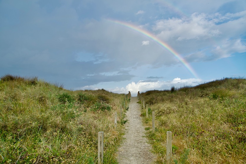 A hiking track with rainbow in the background