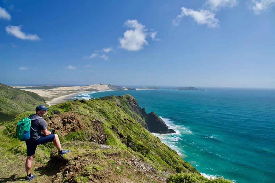 Diverse hiking landscape in New Zealand 