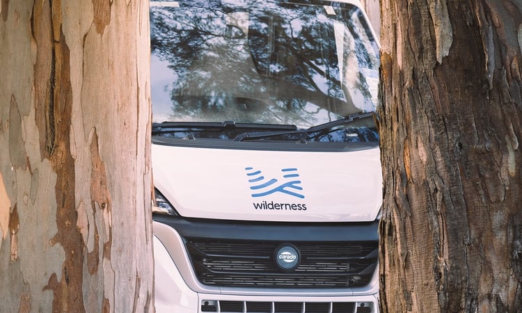 wilderness-logo-cab