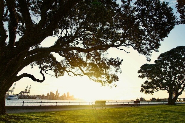 The view from Devonport north of Auckland