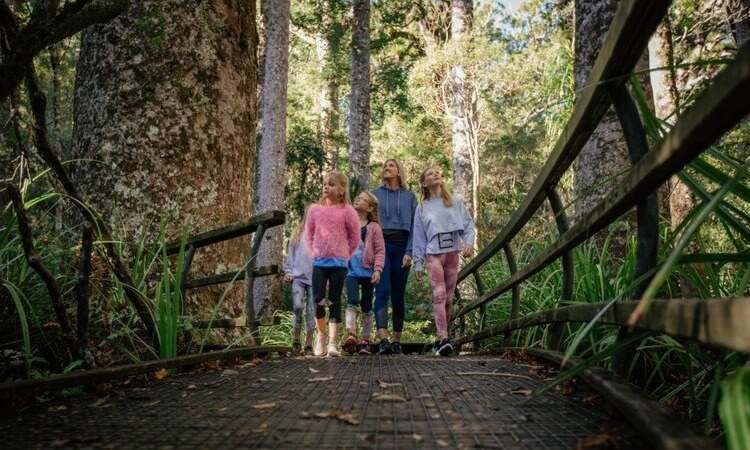 A family walks the boardwalk in Puketi Forest, credit to Northland NZ