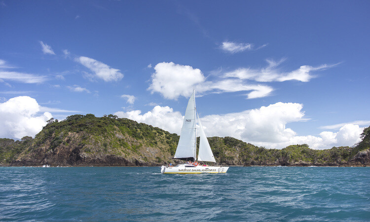 Sailing at Paihia, Bay of Islands, credit to Miles Holden (TNZ)