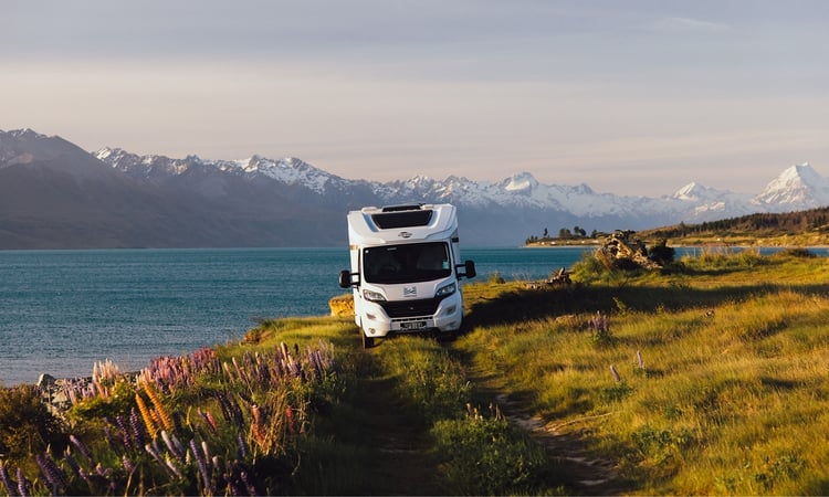 Lake Pukaki- Spring