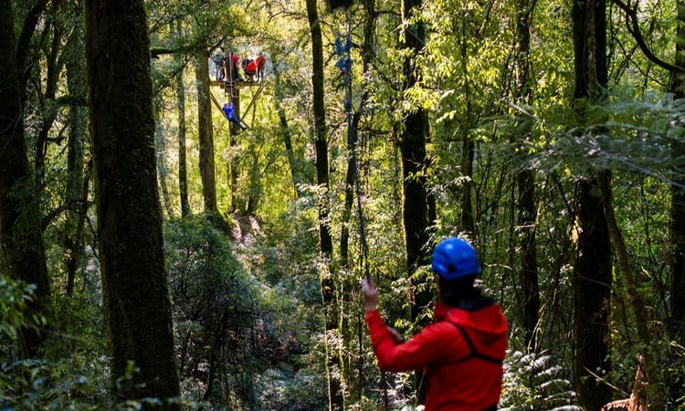 Rotorua Canopy Tours_046
