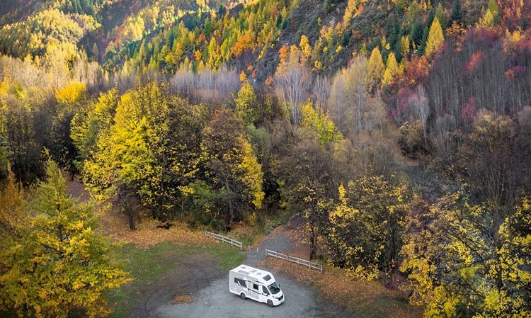 Wilderness in Arrowtown