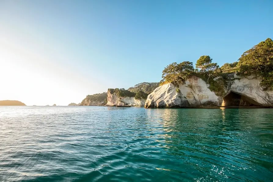 Cathedral Cove Coromandel