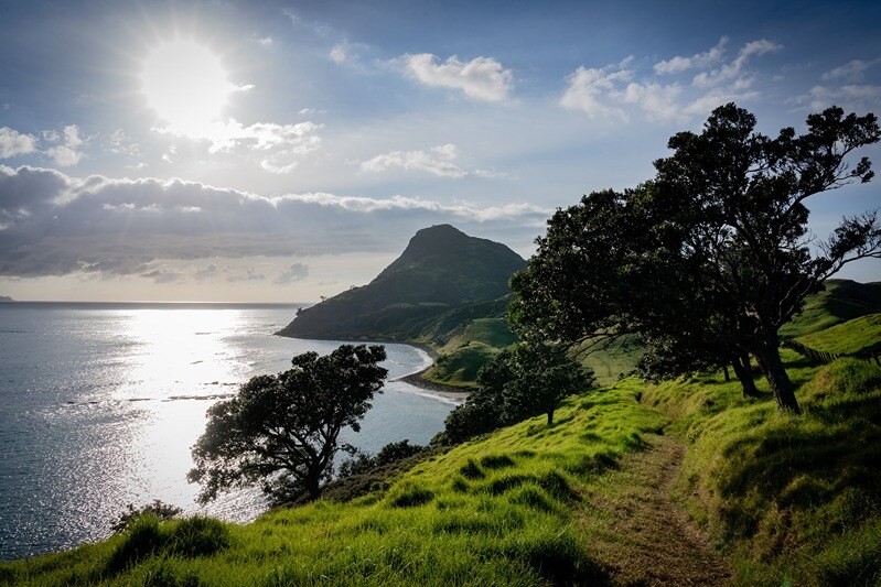 Coromandel Coastal Walkway