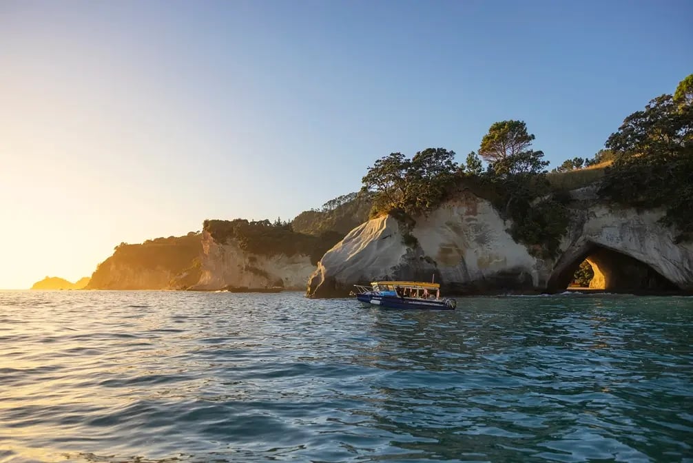 Glass Bottom Boat at Coromandel 