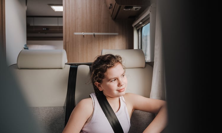 Seatbelt child