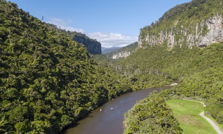 Pororari River Track, credit to Nimmo Photography