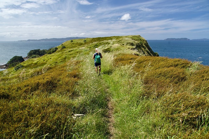 Hike Clifftop North Island