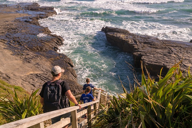 Muriwai Rocks