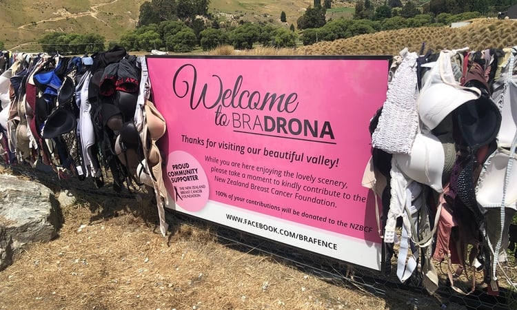 1. Bra Fence Cardrona00001-3969x2381-283e7c5