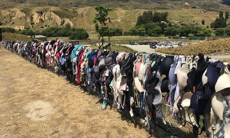 1. Bra Fence Cardrona00003-3999x2399-b6278d2