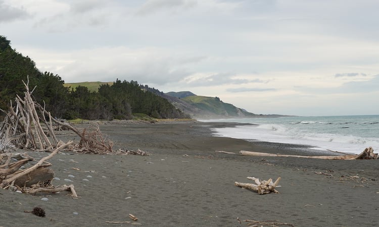 2. Black Sand Beaches - Kekerengu