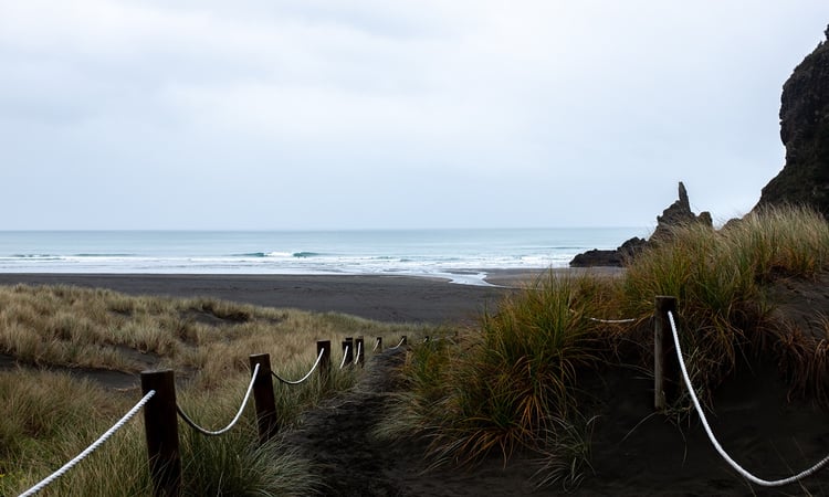 2. Black Sand Beaches - Piha 2