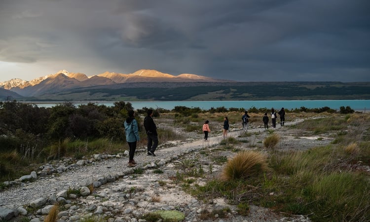 Lake Pukaki behind Glentanner
