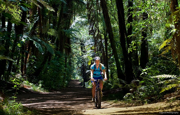 Cycling in Rotorua ( Credit to Legend Photography)