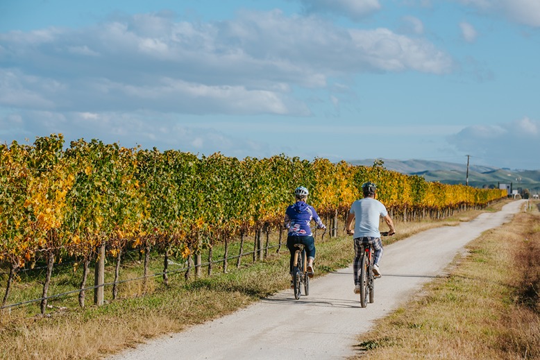 Hawkes Bay Trail (Credit to Kirsten Simcox)