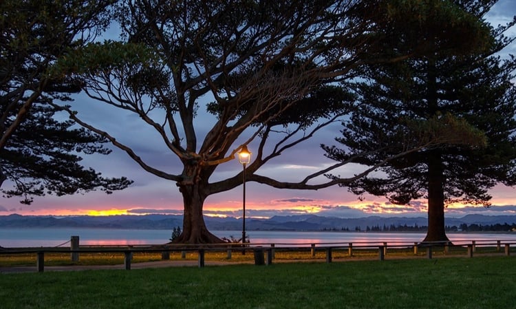 Gisborne beach-1