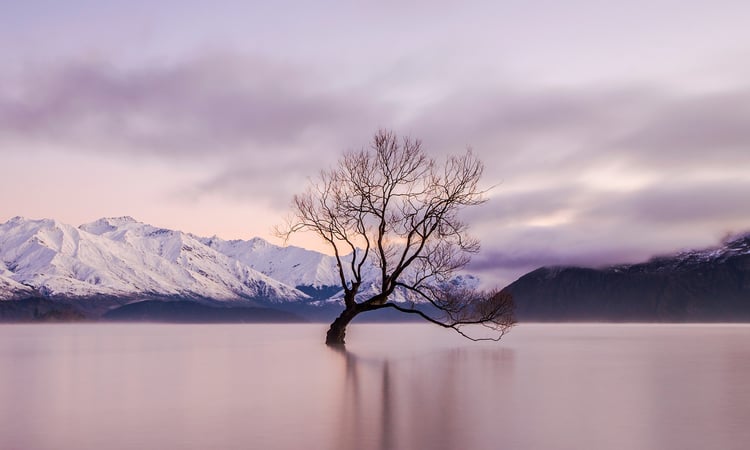 Snowy Mountains Wanaka