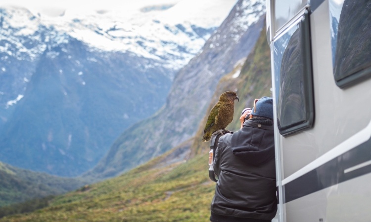 A man photographing a Kea bird resting on a Wilderness motorhome side mirror