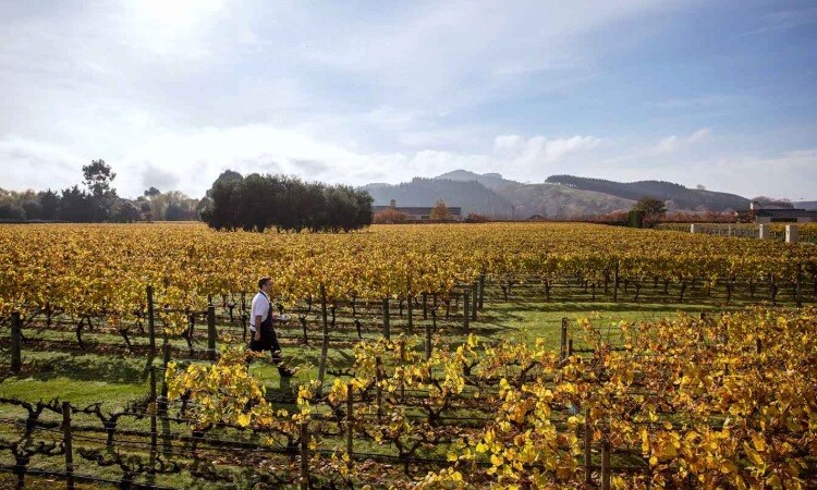 Craggy Range Hawkes Bay