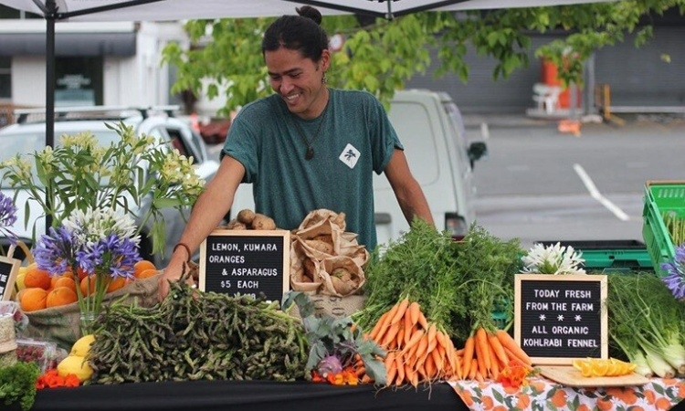 Farmers Market Matakana