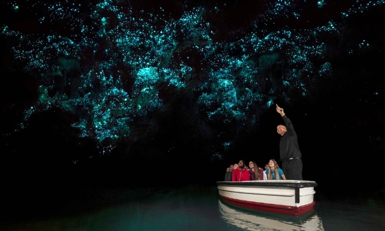 Waitomo Glowworm Cave
