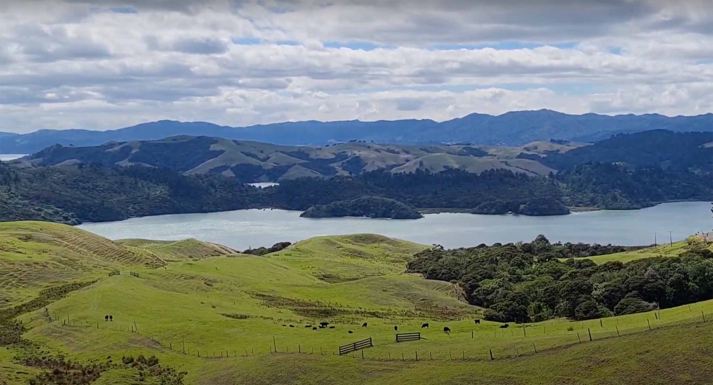 Manaia Road Saddle and Lookout 