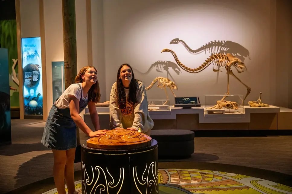 Te Papa Wellington