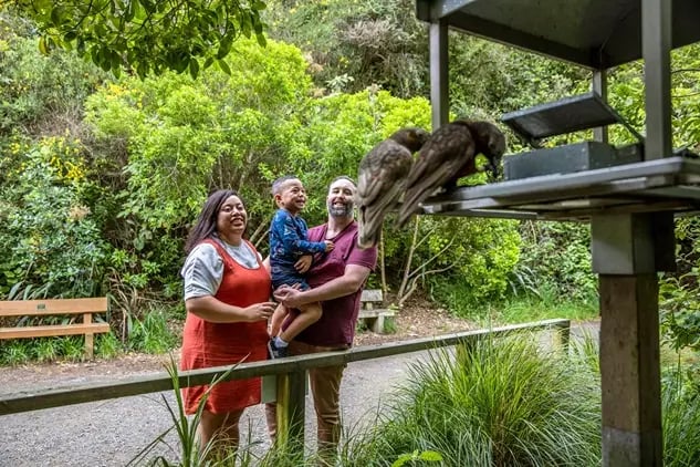 Zealandia