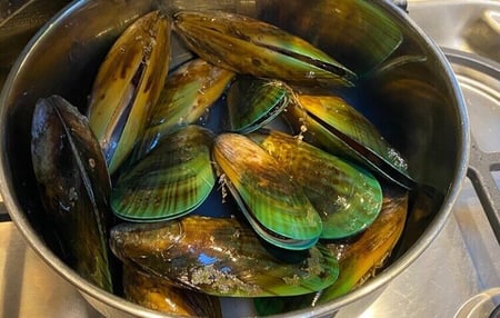 Cooking mussels in a pot