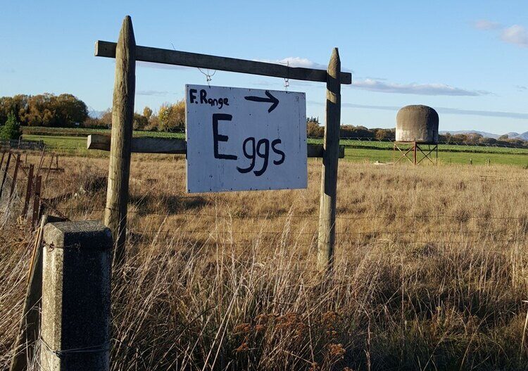 Free range eggs sign