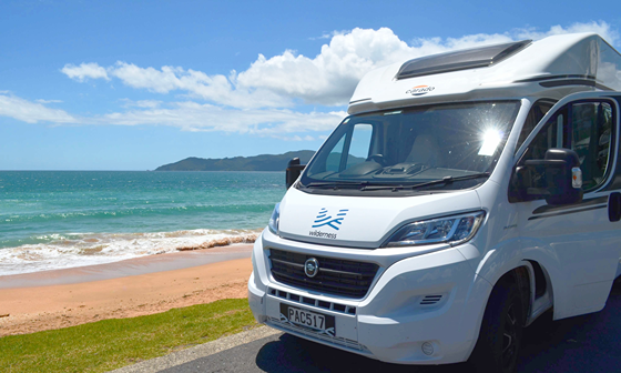 Bay of Islands  Nov 2025