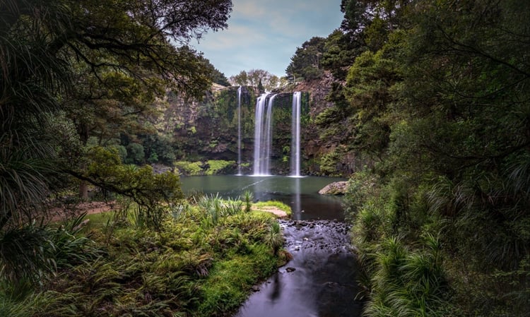 Day 2 - Whanagrei Falls