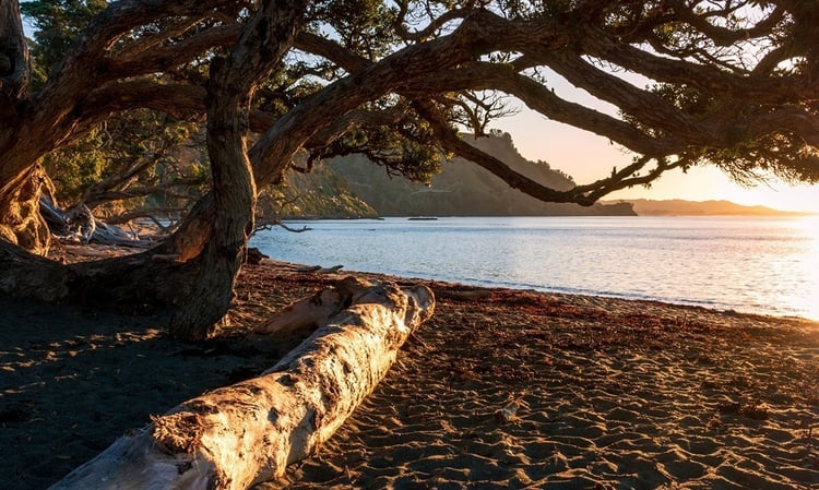 Goat Island Leigh