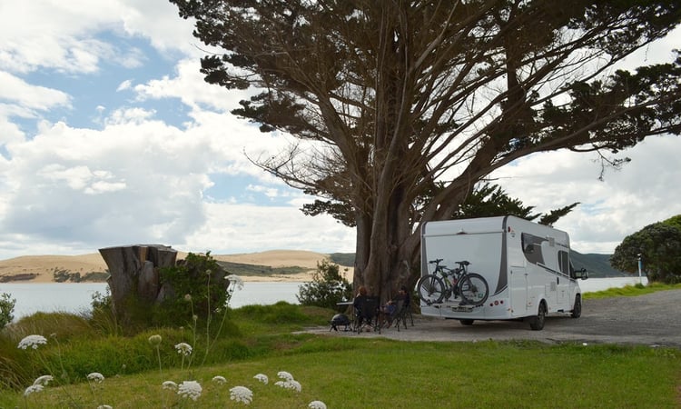 Omapere  Nov 2025 Northland