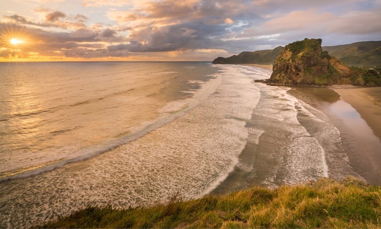 Piha golden sunset