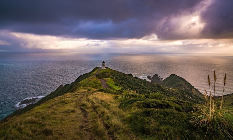 RS21762_Moody morning at Cape Reinga-7816x4690-20a00bd